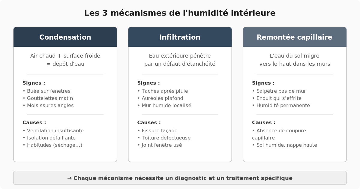 Les trois mécanismes de l'humidité : condensation, infiltration et remontée capillaire
