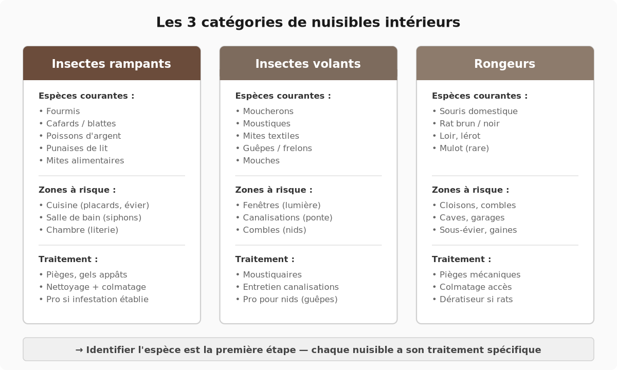 Les trois catégories de nuisibles intérieurs : insectes rampants, insectes volants et rongeurs